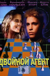  Двойной агент 